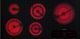 Miele 42" Electric Cooktop-Black-0