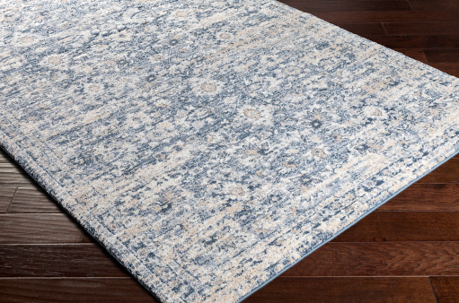 Surya Tuscany Cream/Denim 5'x7' Area Rug-1