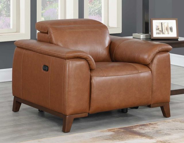 Steve Silver Co. Bergamo Coach Power Recliner-0