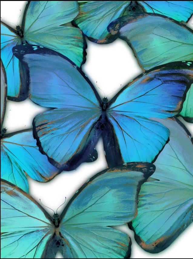 Classy Art Style 6 Gallery Wrapped Giclee on Canvas Wall Art-0