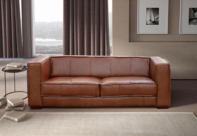 Mazin Furniture Salvador Chocolate Brown Sofa-3