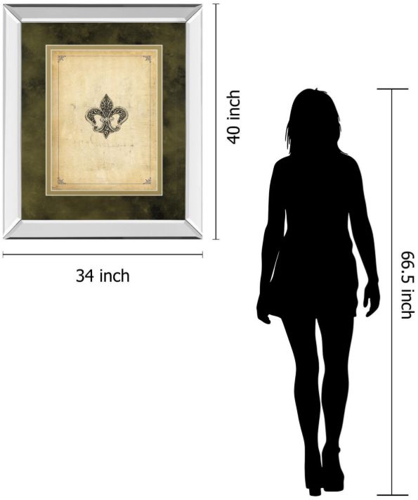 Classy Living Alexey Paviuts Fleur Di Lies I Mirror Framed Wall Art-2