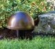 Paradigm® Garden Oasis 12" Textured Copper Outdoor Subwoofer-2