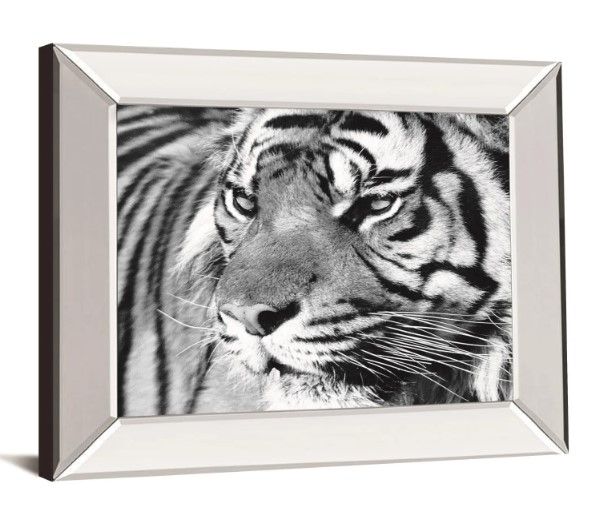 Classy Art Tiger Eyes by Xavier Ortega Wall Art-1