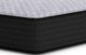 Ashley Sleep® Anniversary Edition 12" Wrapped Coil Plush Tight Top Twin XL Mattress in a Box-1
