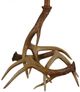 Lamps Per Se Brown Antler Table Lamp-1