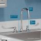 Elkay Chrome 8" Centerset Concealed Deck Faucet with 5" Gooseneck Spout and 6" Wristblade Handles-3