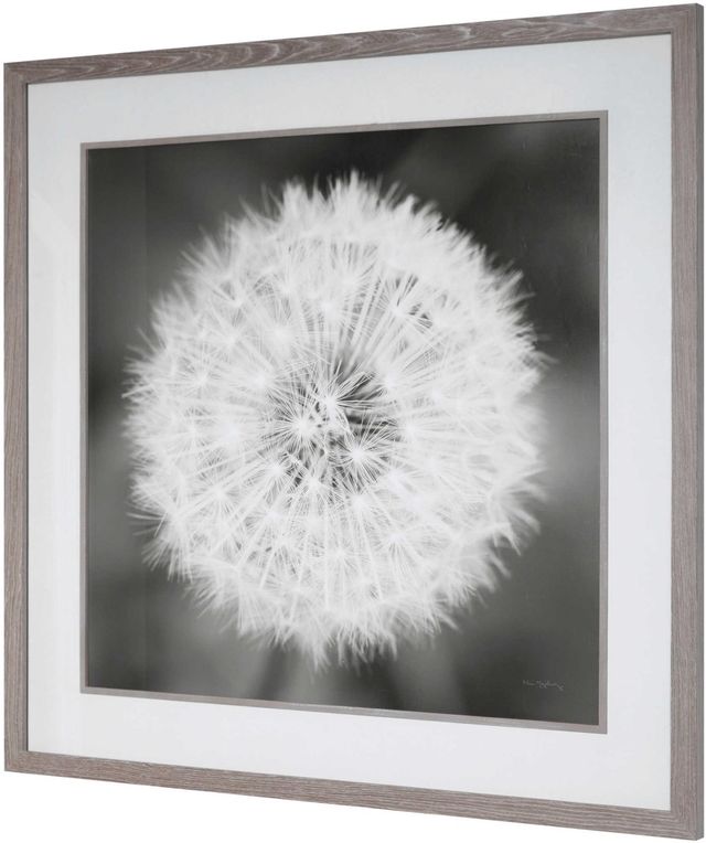 Uttermost® Majchrowicz Dandelion Seedhead Framed Print-2