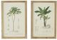 A & B Home 2-Piece Brown/Green Tree Wall Art Set-1
