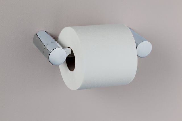 Moen® Align™ Chrome Pivoting Paper Holder-1