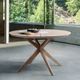 Armen Living Oasis Outdoor Light Eucalyptus Dining Table-4