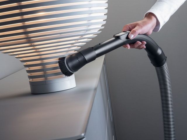 Miele Dusting Brush -1