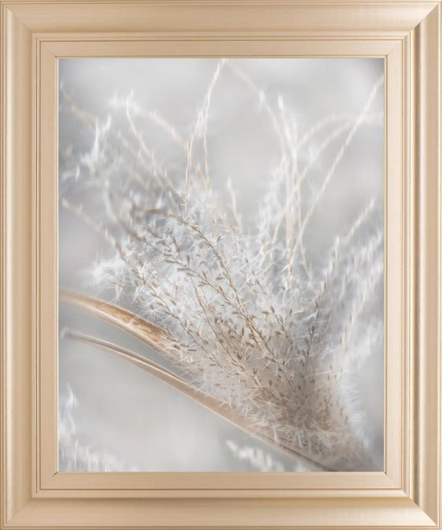 Classy Art Summer Wisps II by Irene Weisz Framed Wall Art-0