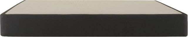 Sealy® 9" King Standard Foundation-1