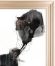 Classy Living Jennifer Goldberger Ebony Step I 22" Wall Art-1