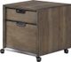 aspenhome® Harper Point Fossil Rolling File-0