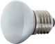 Zephyr Incandescent Bulb-0