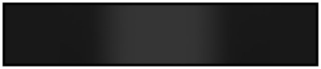 Wolf® 30" Black Glass Front Panel