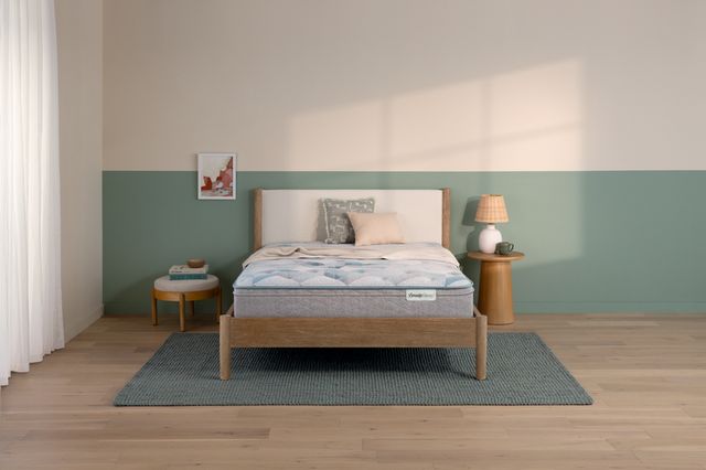 Beautysleep® Dream Weaver™ 12.25" Pocketed Coil Medium Euro Top Queen Mattress-1