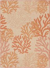 Coral 7