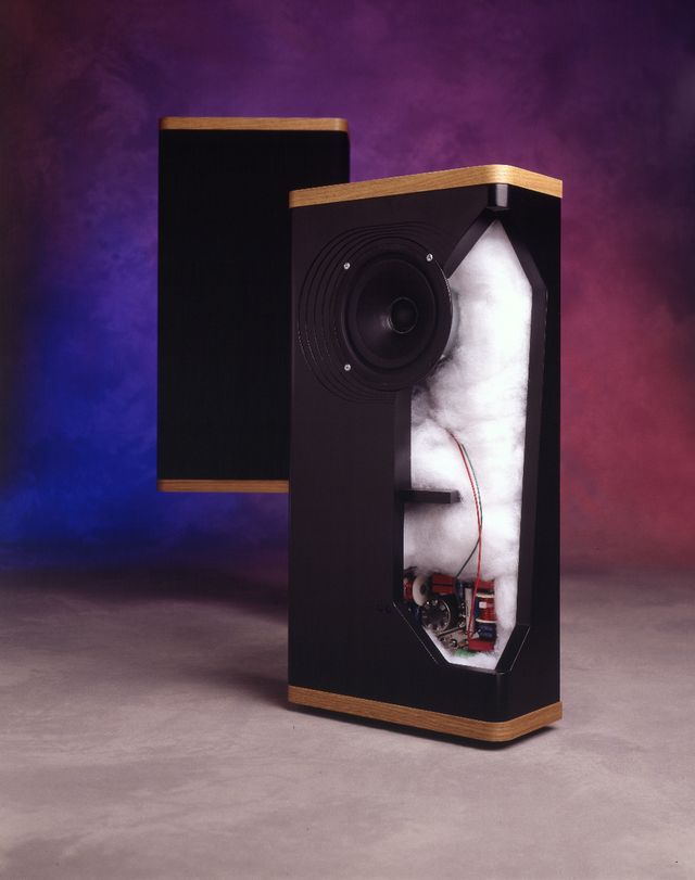 Vandersteen - VSM-1 - On-Wall Speakers (Pair)
