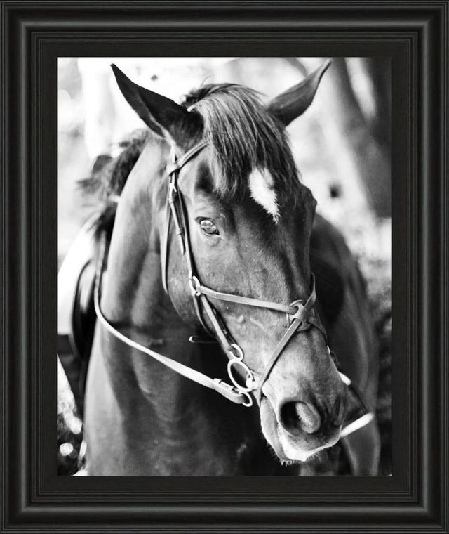 Classy Art Derby I by Susan Bryant Wall Art-0