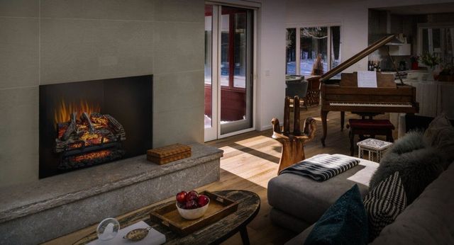 Napoleon® Woodland™ 27" Electric Fireplace Log Set-2
