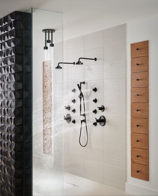 Brizo Essential™ Matte Black Hydrachoice Max® Round Body Spray Trim-4