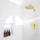 ZLINE Autograph Edition El Dorado Polished Gold Rainfall Shower Faucet-4