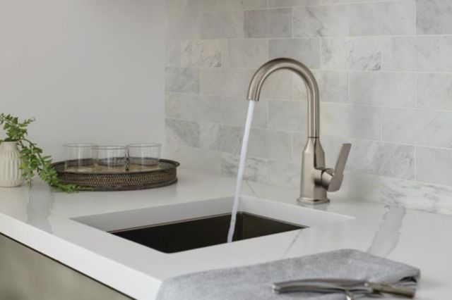 Peerless Ezra® Stainless Single Handle Bar Faucet-2