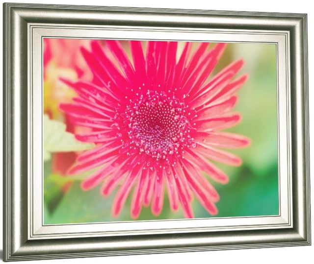 Classy Living Susan Bryant Pink Gerbera 26"W Wall Art-3