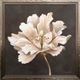 StyleCraft Willow Blossom I Cream Wall Art-0