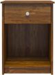 Ameriwood Home Ellwyn Bank Alder Nightstand with Drawer-0