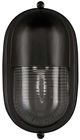 Currey & Company Maritime Black/Clear Outdoor Wall Sconce-3