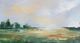 Stylecraft Willow Wilderness Framed Print-1