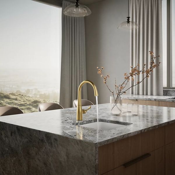 KOHLER® Simplice® Vibrant Brushed Moderne Brass Single-Handle Bar Sink Faucet-2