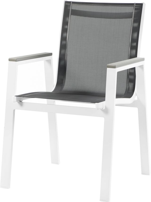 Meridian Furniture Nizuc 2-Piece Black Outdoor Patio Mesh Dining Arm Chairs-0