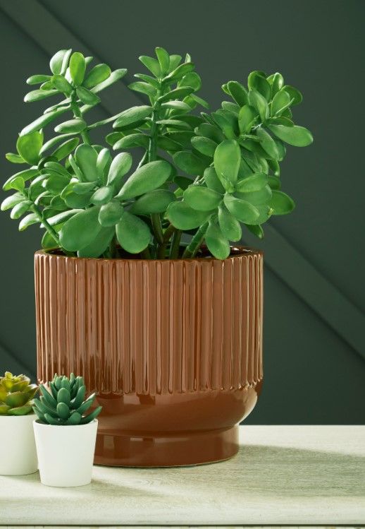 Signature Design by Ashley® Avalyah Burnt Umber 8" Vase-2