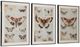 Signature Design by Ashley® Jossletts 3-Piece Black/Ivory/Orange Wall Art Set-1