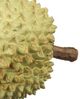 A & B Home Blossom Green Small Paradise Faux Durian Fruit-1