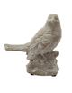 A & B Home 2-Piece Gray Watchful Birds-2
