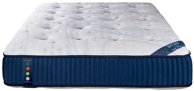 Spring Air® Four Seasons Big Sky 14" Wrapped Coil Plush Tight Top Twin Mattress-2