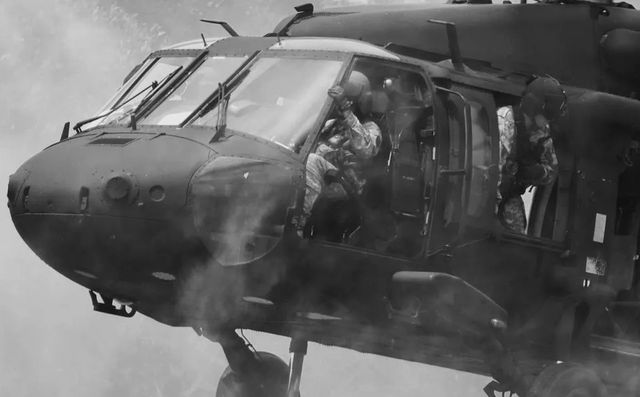 Classy Art Black Hawk Wall Art-1