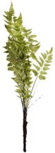 A & B Home Green Fern Spray Stem-1