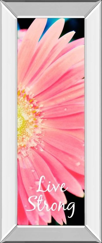 Classy Art Live Strong Daisy by Susan Bryant Mirror Framed Wall Art-0