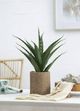 A & B Home Green Artificial Yucca Plant-3