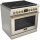 Fulgor Milano® Evoque 400 Series 36” Stainless Steel Pro Style Dual Fuel Range with Brushed Brass Trim-0