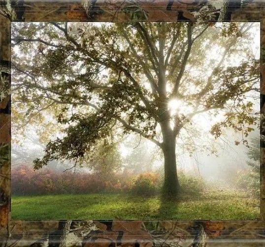 Classy Art Morning Calm by Lee Frost Framed Print Wall Art-1