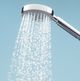 Hansgrohe Raindance S Chrome 100 3-Jet Handshower-1