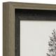 StyleCraft Pacific Northwest Tree Sketch II Gray Print Under Glass-1